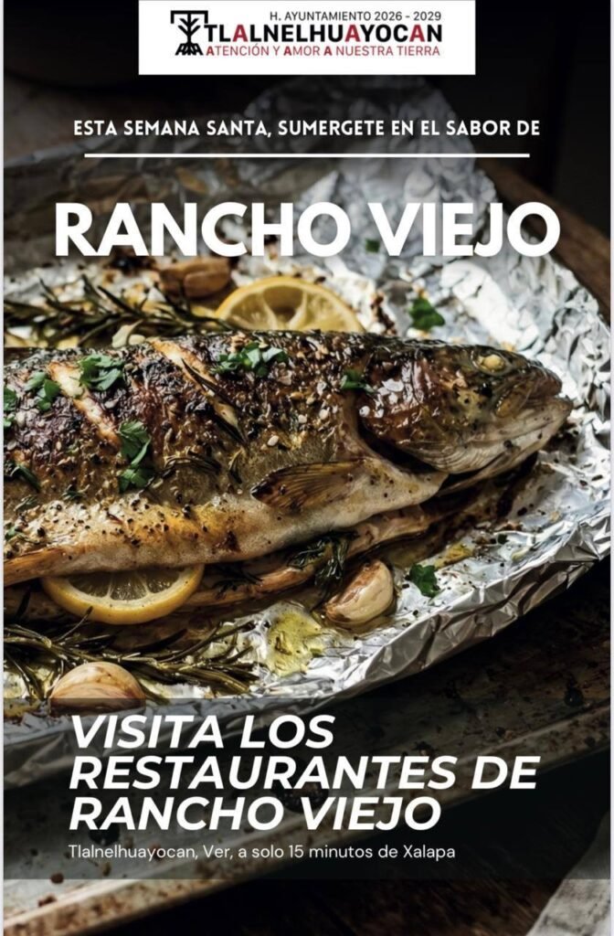 5-6-672x1024 Mesa de Redacción