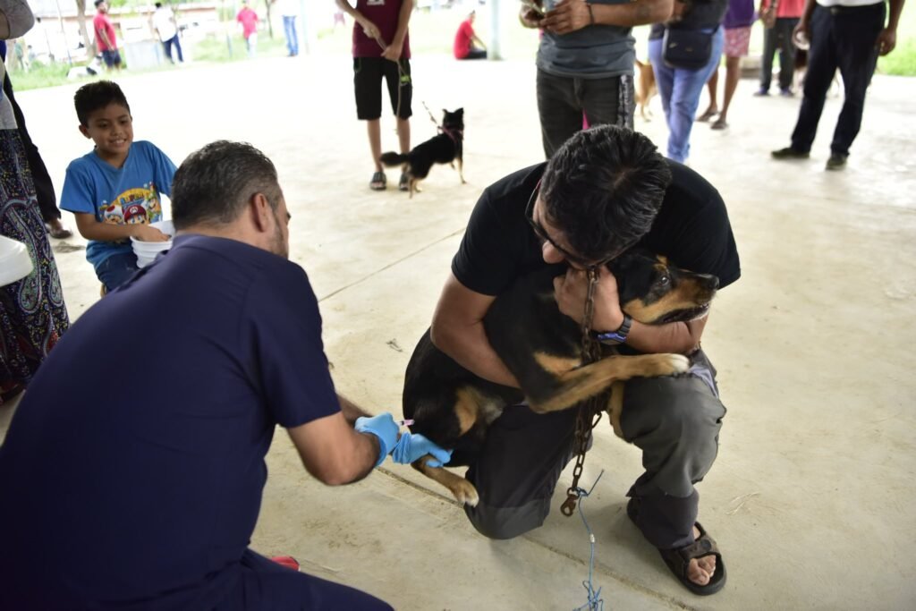 2-16-1024x683 Realizan Campaña Gratuita de Vacunación Antirrábica para caninos y felinos en Tantoyuca