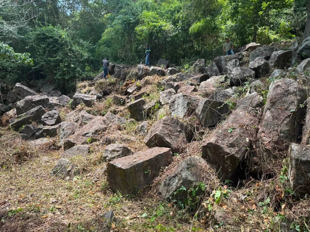 3-1-1024x768 Realizan Tequio en Parque Ecológico de Tametate, en Tantoyuca